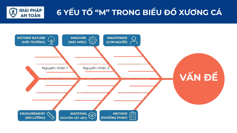 6 yếu tố M trong biểu đồ xương cá